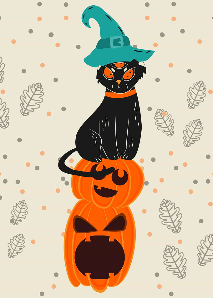 Halloween Witch Cat