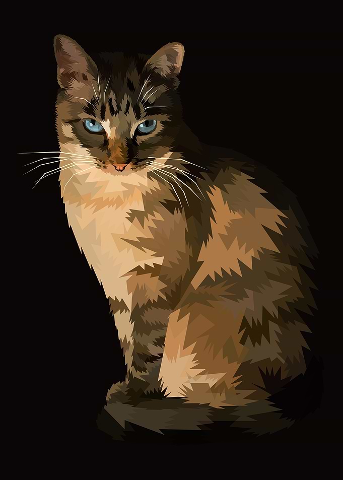 Cat sitting