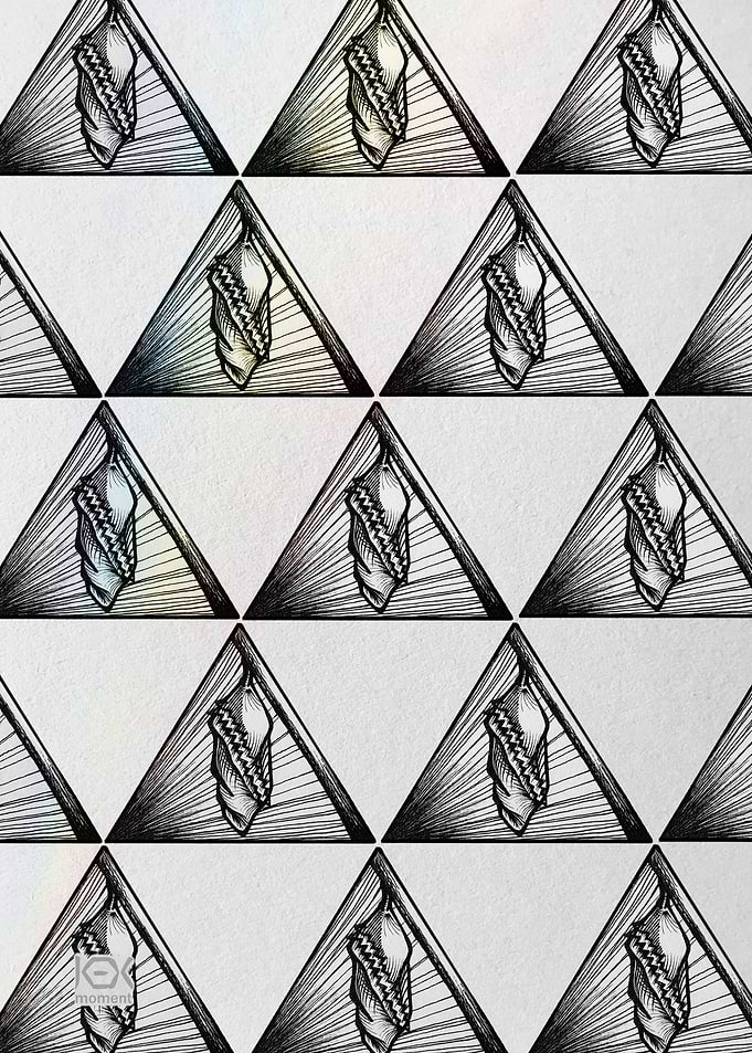Butterfly Cocoon Pattern