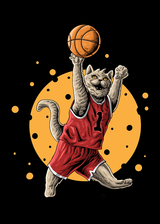 Cat playing basketball