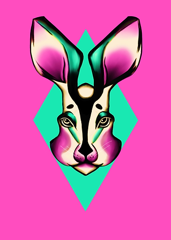 RABBIT
