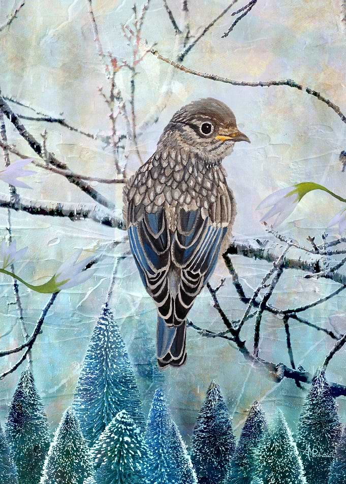 Winter Glow