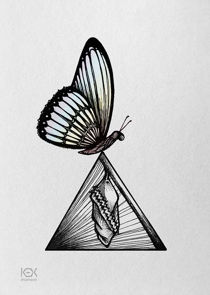 Butterfly on Prism Cocoon