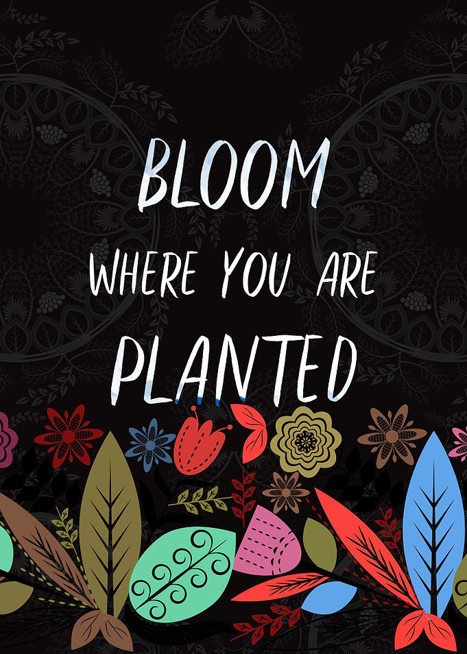 Bloom