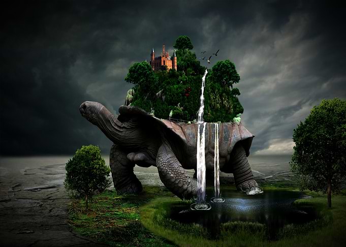 fantasy nature turtle