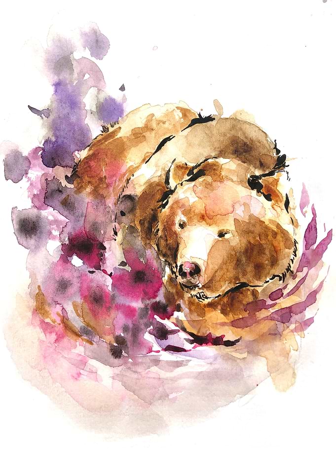 Bear Animals Watercolor