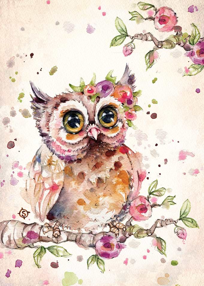 Sweet Owl
