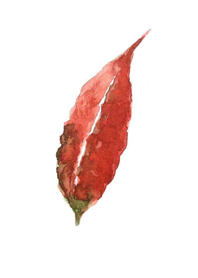 Botanical Leaves