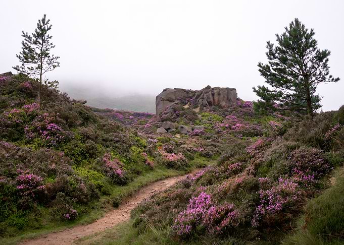 West Yorkshire