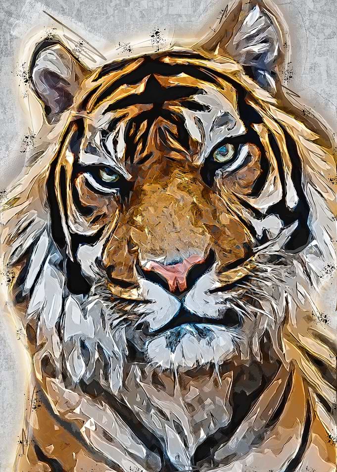 Tiger Cartoon