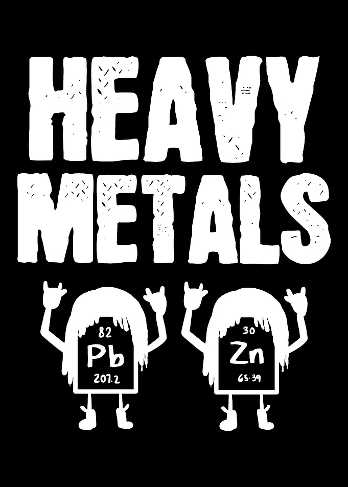 Heavy Metals Musician Or A