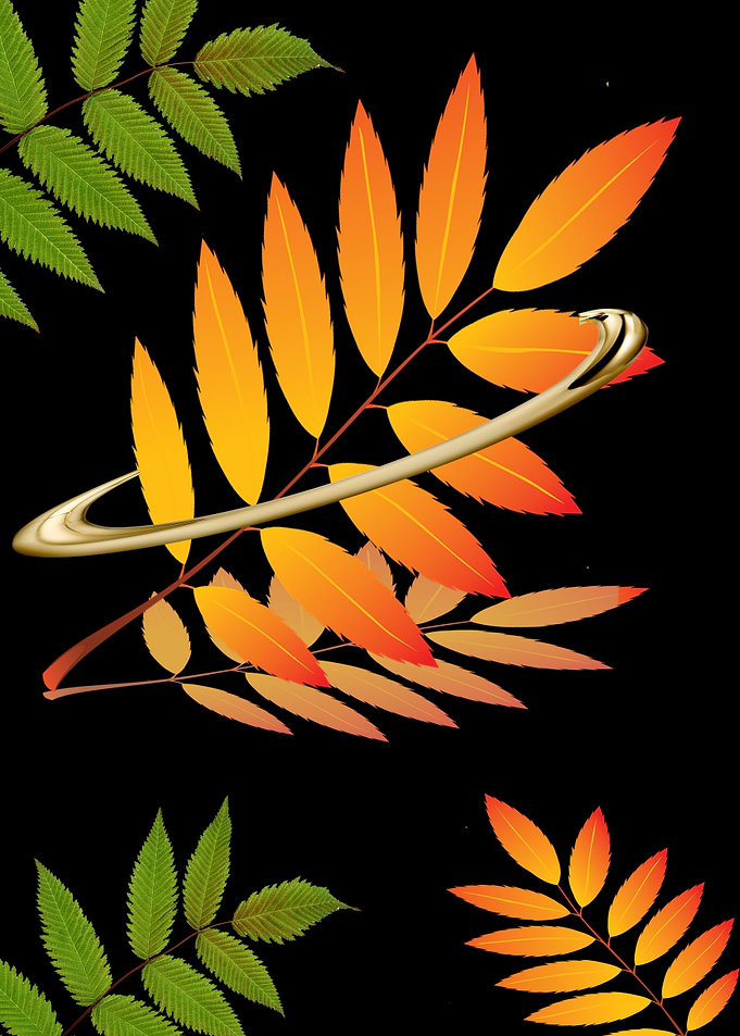leaves