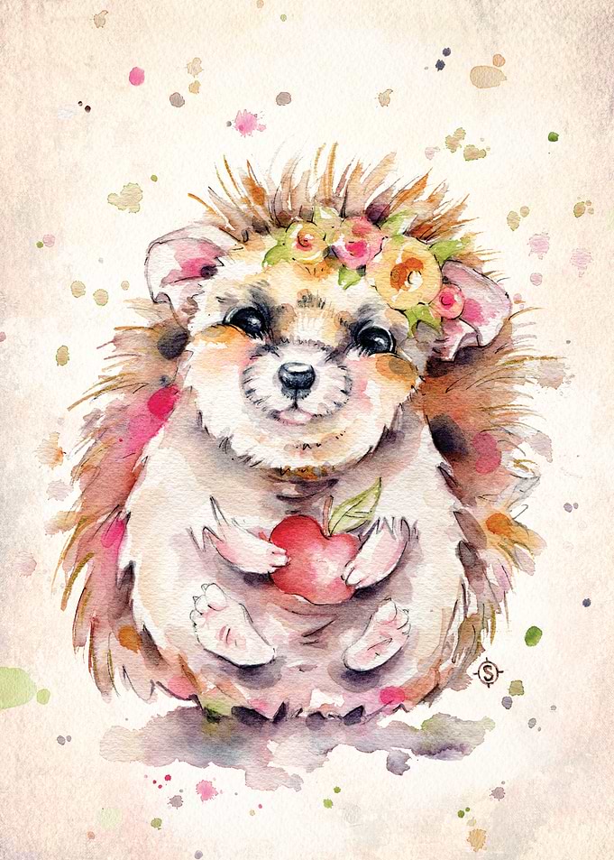 Sweet Hedgehog