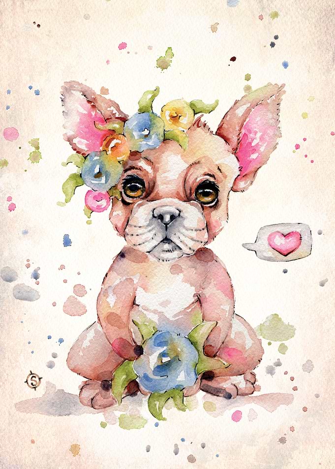 Sweet Frenchie