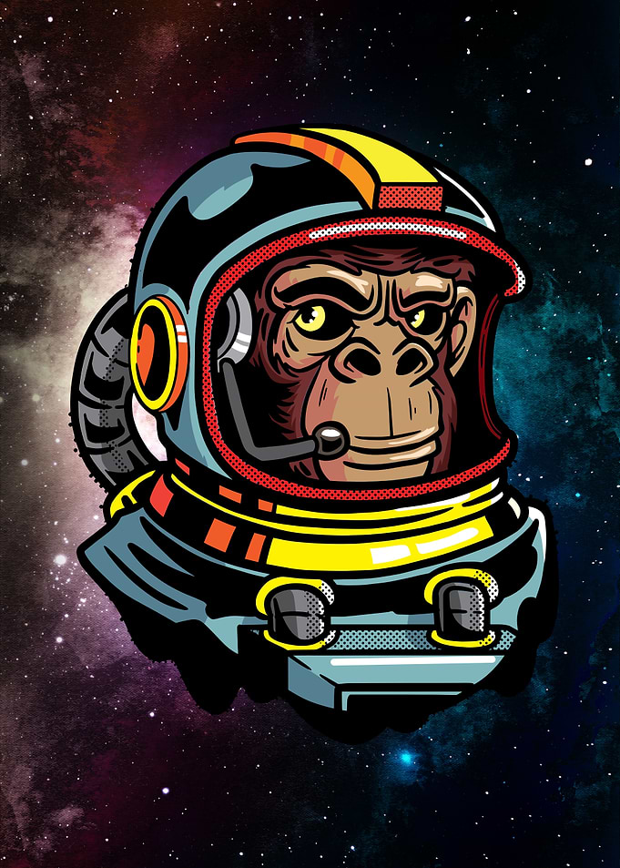 Monkey Astronaut