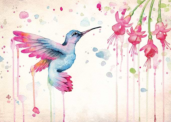 Hummingbird Garden