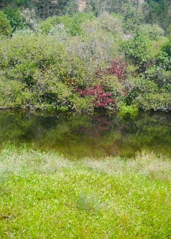 River landscape