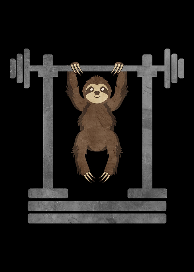 Funny Sloth Gift For Lazy