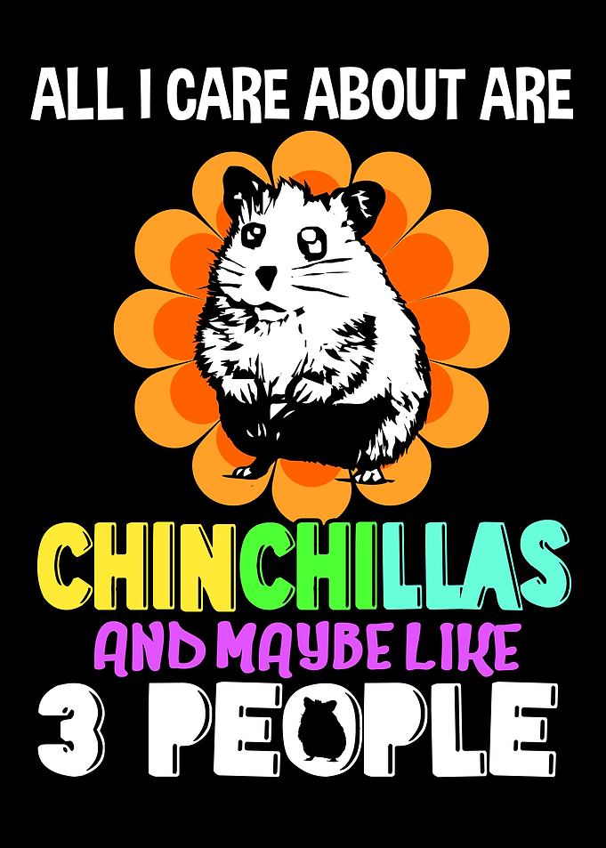 Chinchilla Care About Pet