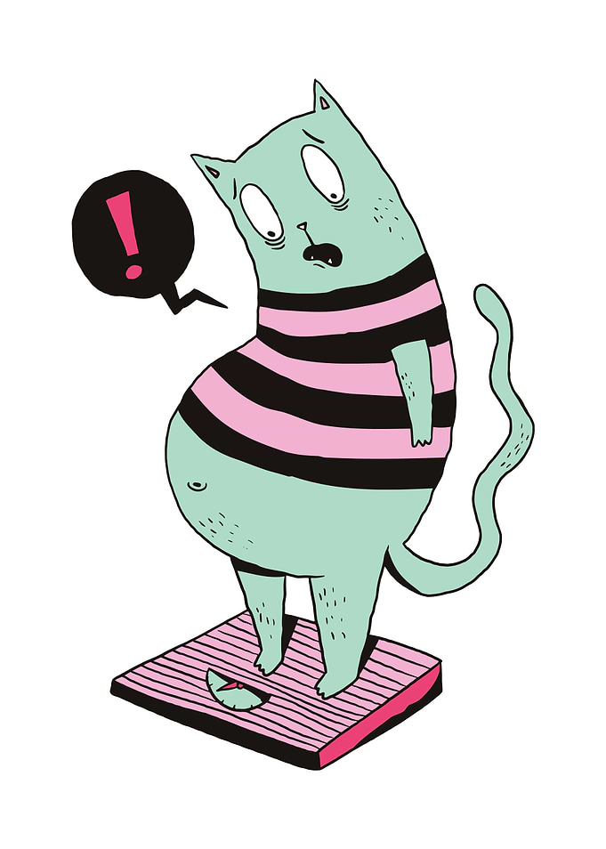 Fat Cat Cartoon