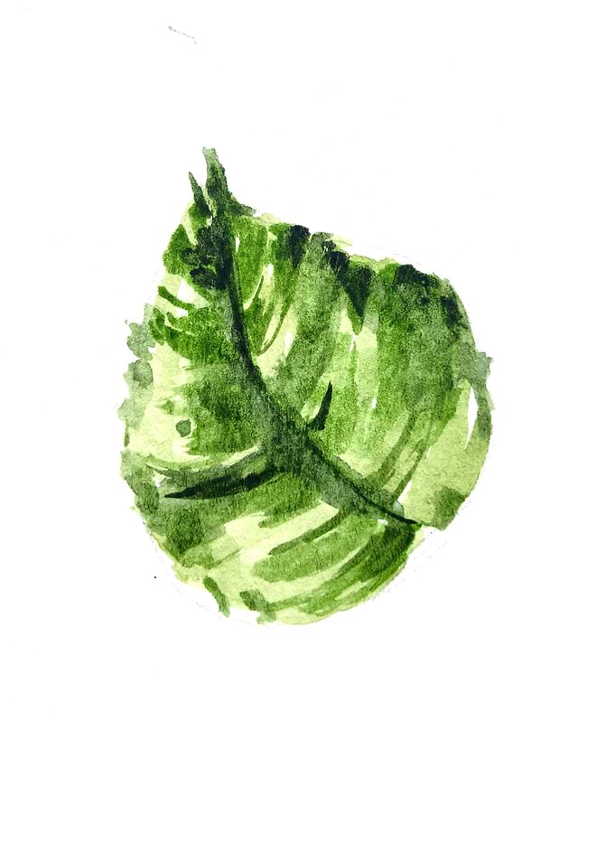 Botanical Leaves