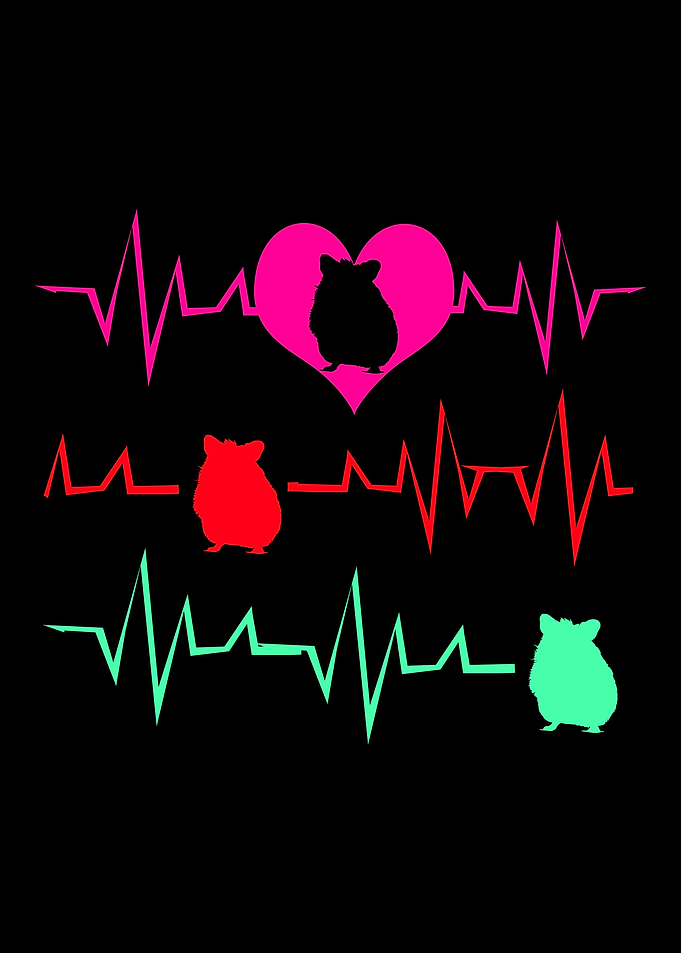 Chinchilla Hearbeat