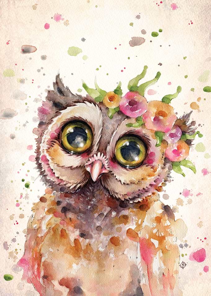 Little Owl