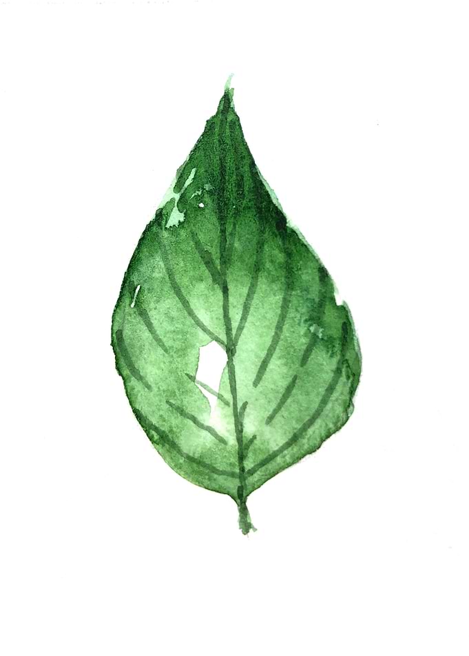Botanical Leaves