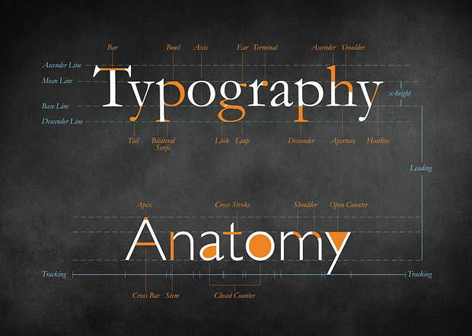 Anatomy of Typography