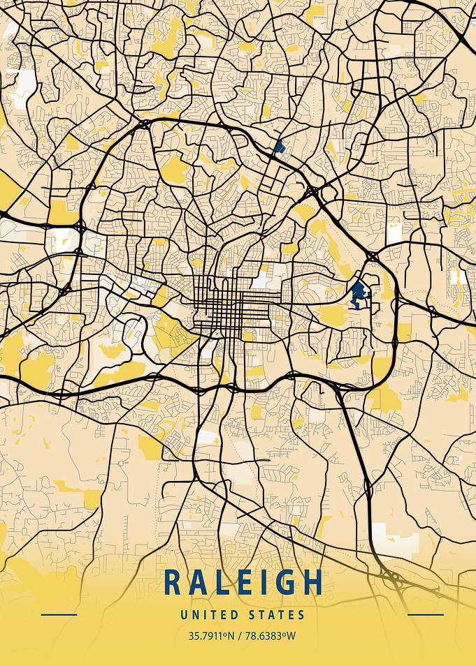 Raleigh Yellow City Map