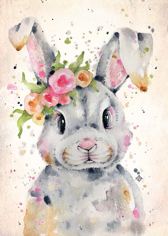 Little Miss Bunny