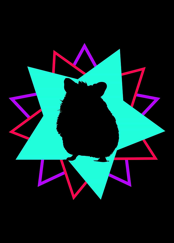Chinchilla Colorful Pet