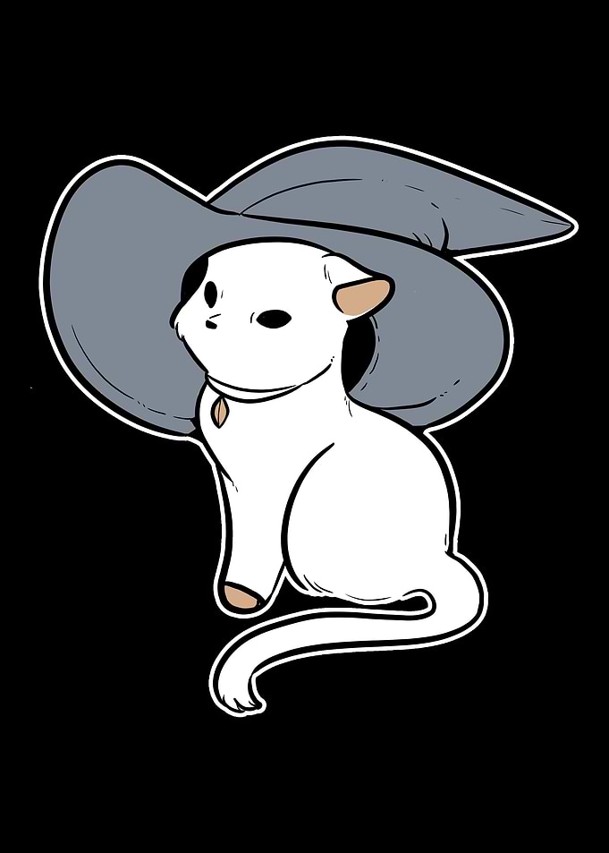 Witch Wizard Magician Or C