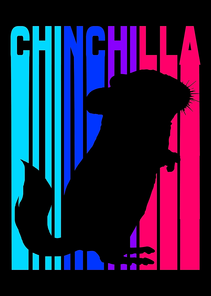 Chinchilla Colorful Pet