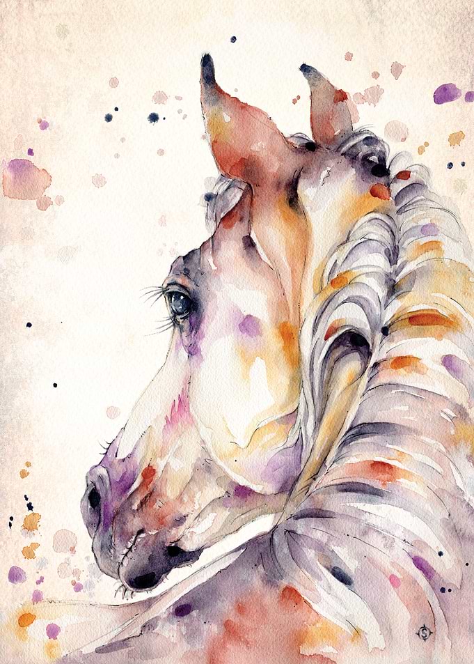 Strength and Softness