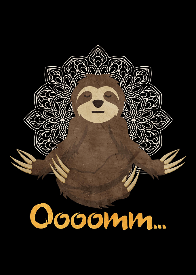 Funny yoga Sloth Gift For