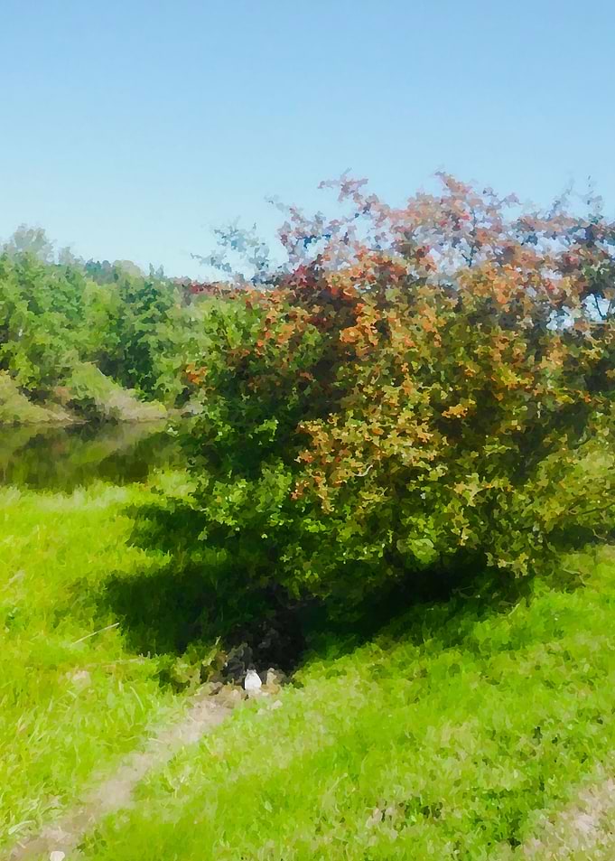 Nature moments