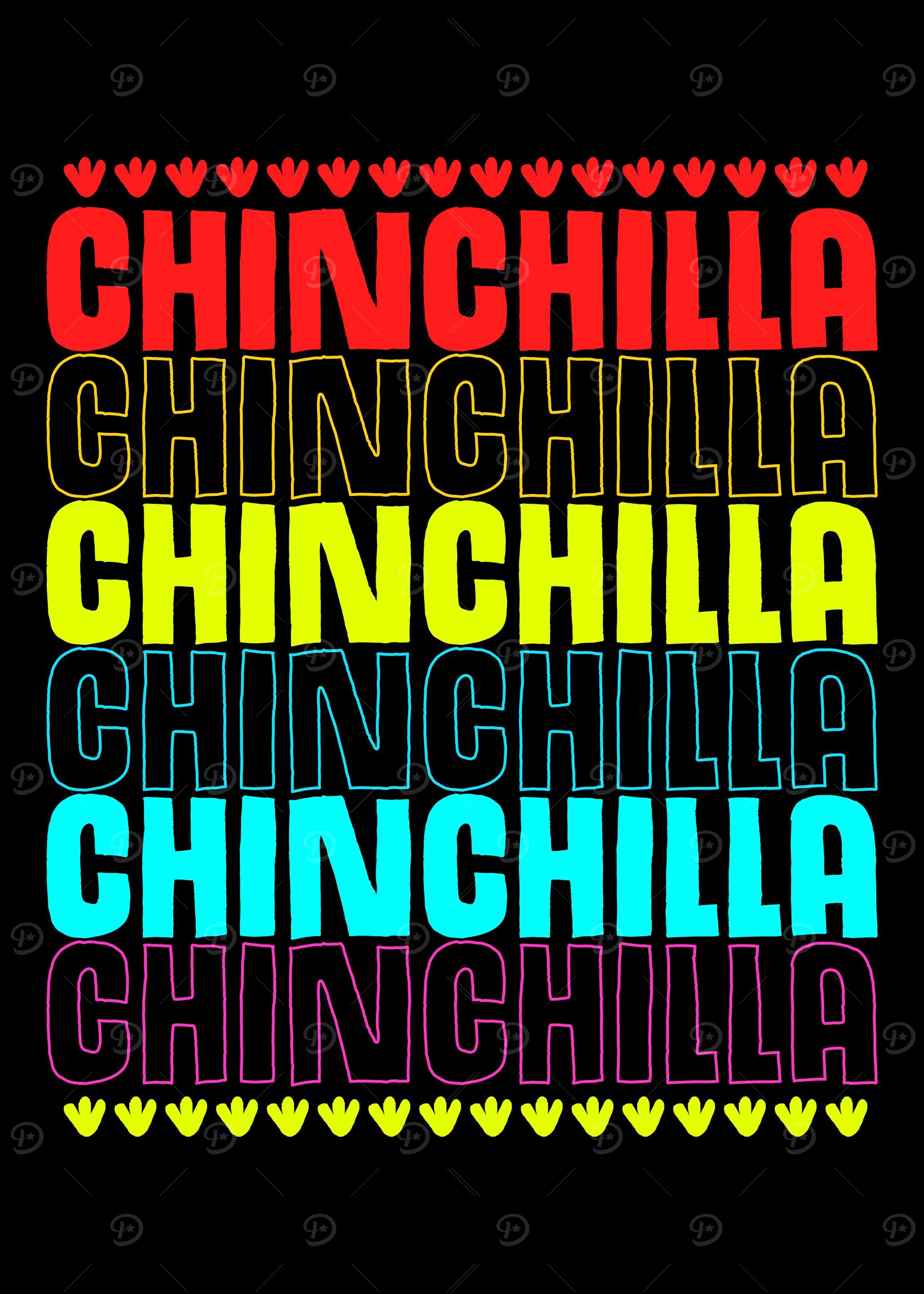 Chinchilla Colorful Pet