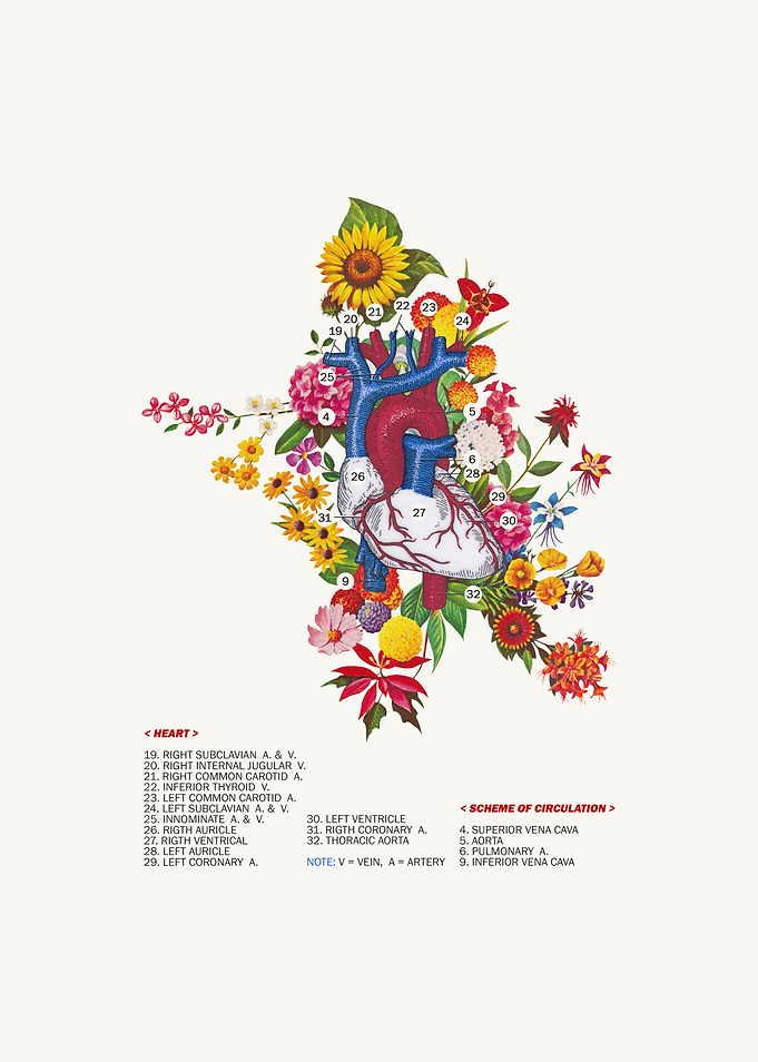 Blooming Heart