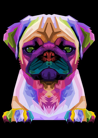 cute pug on pop art