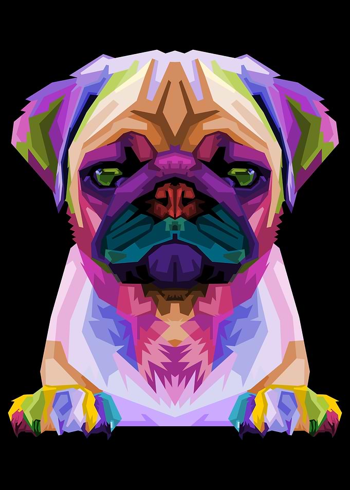 cute pug on pop art