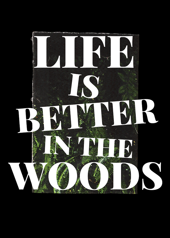 Forest Saying