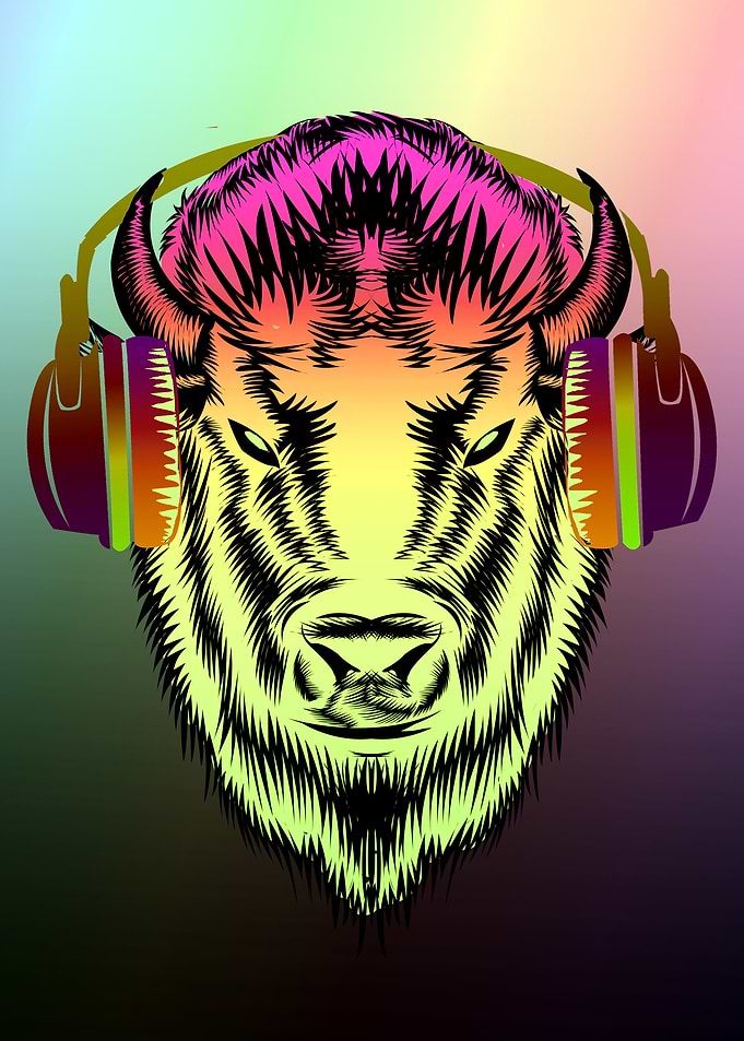 Pop Bull and Bison
