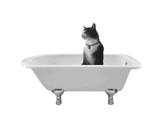 BATHTUB HAPPY CAT