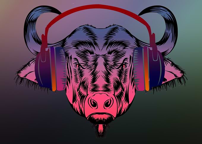 Pop Bull and Bison