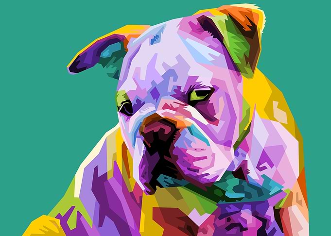 colorful english bulldog
