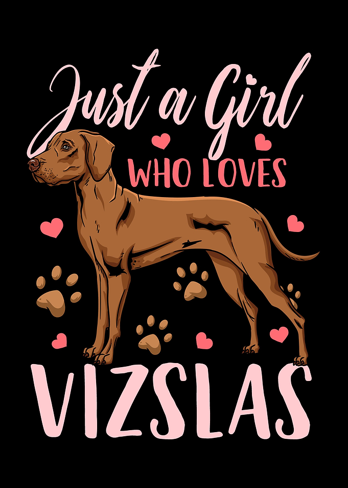 Just A Girl Who Loves Vizs