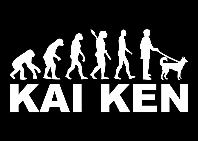 Kai Ken