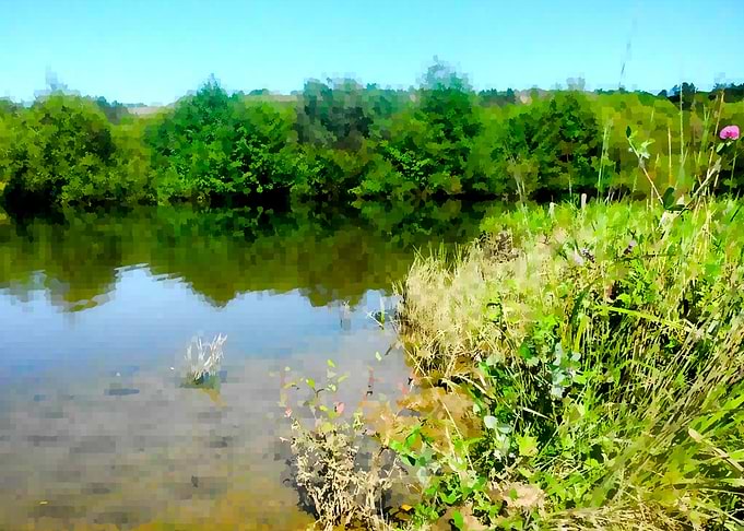 Lake scape