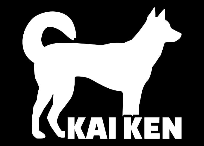 Kai Ken